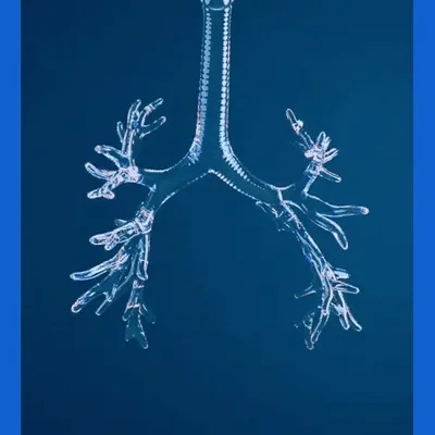 2X1 PACK ANTIRONQUIDOS MAGNETICO