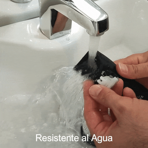 Higiene total garantizada