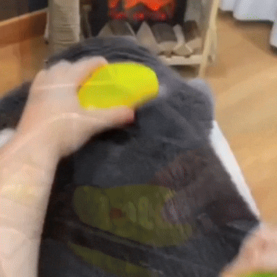Tu mascota lo va a amar